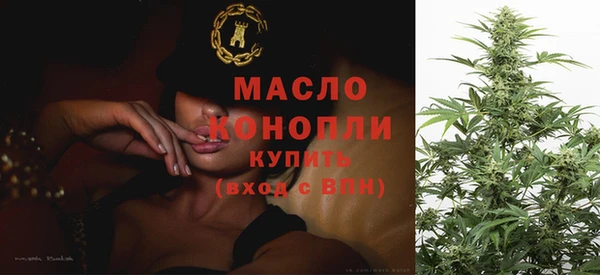 стаф Елабуга