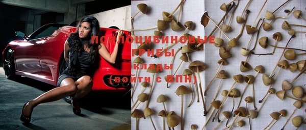 кокс Ельня