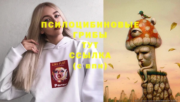 кокс Ельня