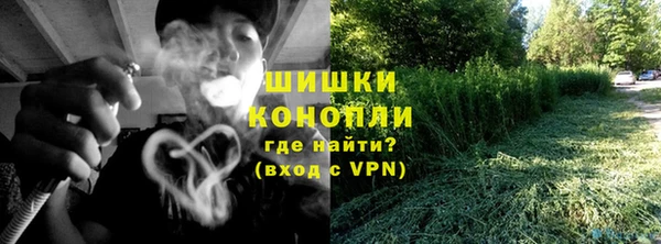 кокс Ельня