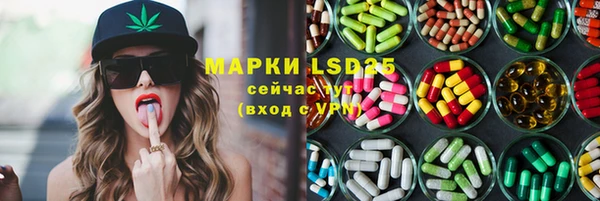стаф Елабуга
